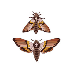 Obraz premium Death head hawkmoth nocturnal fly insect vector illustration set isolated on white. Boho Moon moth print collection for Halloween or tee shirt design.