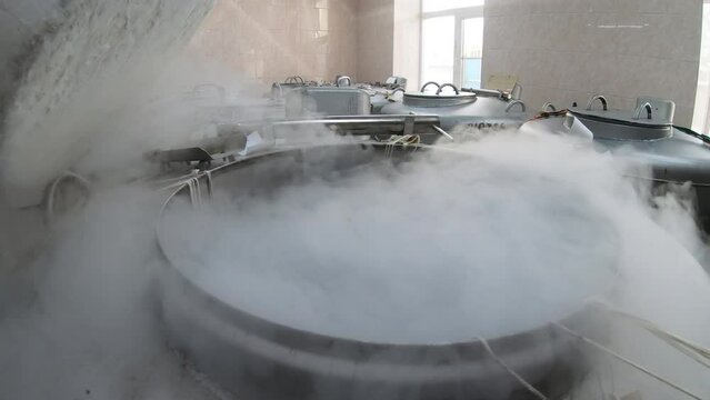 A bank with liquid nitrogen in the laboratory with samples of semen from a bull, horse. High-tech laboratory equipment for in vitro fertilization.