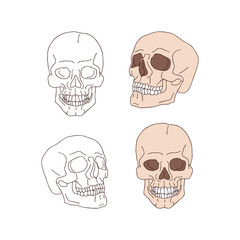 Spooky retro scull pink and contour vector illustration set isolated on white. Line art style skeleton head print collection for Halloween or tee shirt design.