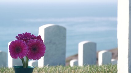 Tombstones of american memorial cemetery, military graveyard in USA. Headstone or gravestone,...