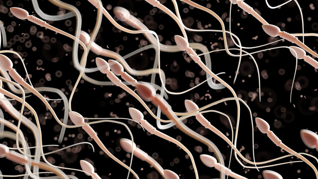 3d rendered illustration of human sperm
