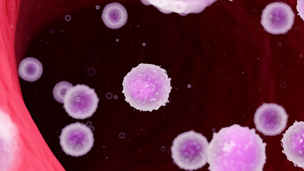Obraz na płótnie Canvas 3d rendered illustration of white blood cells