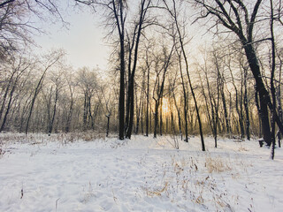 Winter sunset in snow covered park. Season and cold weather concept