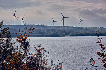 Der Halemer See am Rande des Ahlenmoors im Landkreis Cuxhaven.