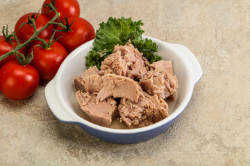 Canned tuna fillet in the bowl
