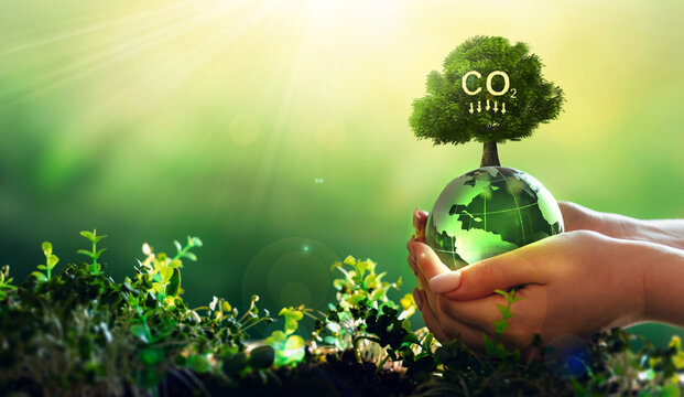 Reduce CO2 emission concept.
Renewable energy-based green businesses can limit climate change and global warming.
Clean and environmentally friendly environment without carbon dioxide emissions.