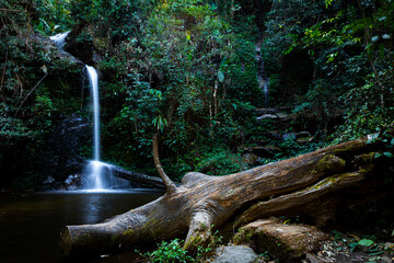 Small waterfall in the forest. waterfall in thailand.
