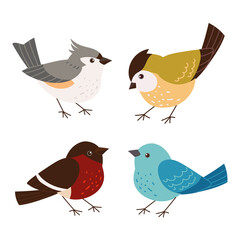 set various birds