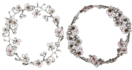 Decorative set of watercolor wreath, pastel hand drawn illustration in sketch style with ink. Romantic spring floral border with copyspace, isolated on white background.