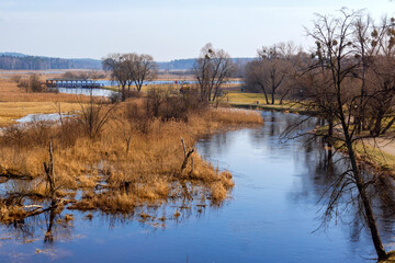 Wiosna w Dolinie Supraśli, Podlasie, Polska