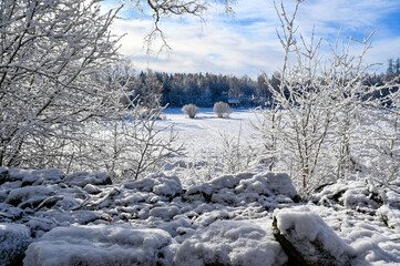 looking out over stonewall on field and little house