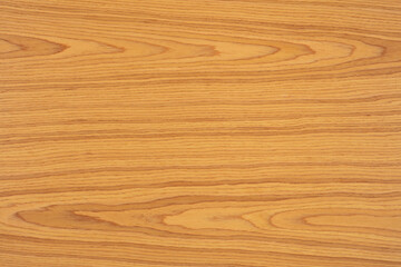 Golden Oak veneer background in natural color, texture for your new home design.