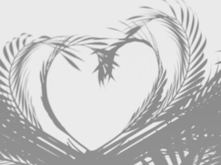 shadow from the leaves 3d illustration palm leaves shadow on a white background heart