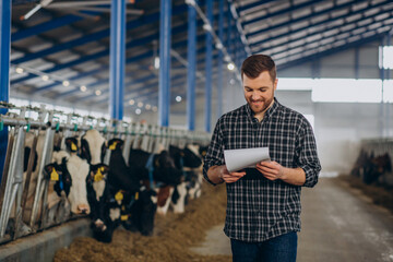 Farmer at the cowshed looking after the cows