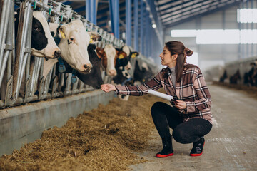 Young woman farmer looking after cows at cowshed
