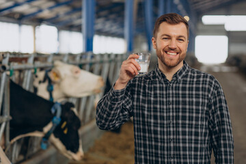 Man farmer at cowshed drinking milk