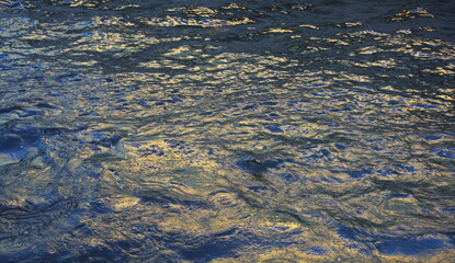 the sun shimmers on the water