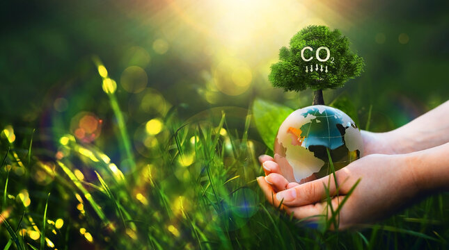 Renewable energy-based green businesses can limit climate change and global warming.
Clean and environmentally friendly environment without carbon dioxide emissions.Reduce CO2 emission concept.
