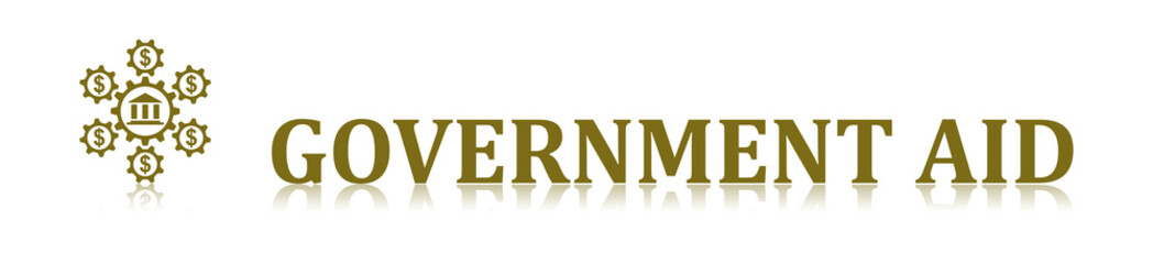 Concept of government aid