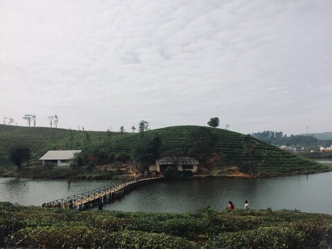 wagamon
