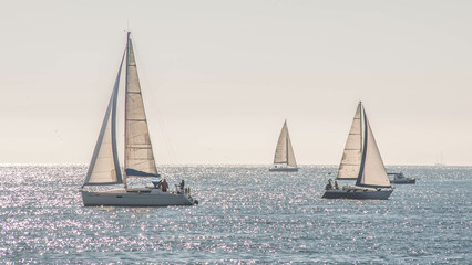 Fototapeta premium sailboat on the sea istanbul
