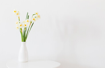 daffodils in white vase on white background