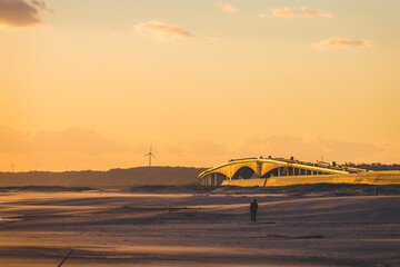 Fototapeta na wymiar 綺麗な夕日とビーチ沿いの景色