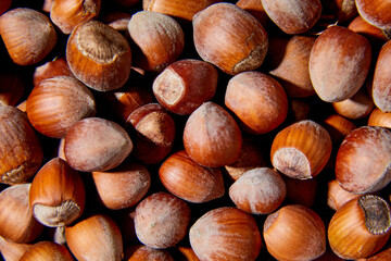 Flat lay macro Fresh hazelnut harvest, top view, close up