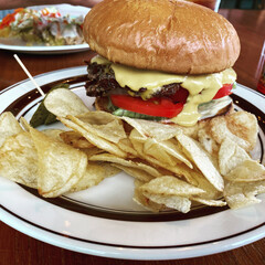 hamburger