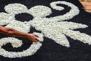 Elaborando alfombra de flores