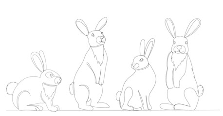 rabbits, hares one line drawing, outline, vector