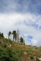puy-de-dôme - massif central - auvergne - france