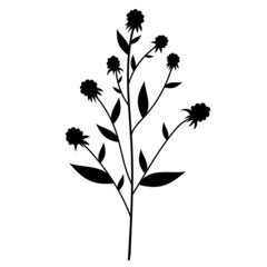 flower, plant silhouette on white background, isolated vector