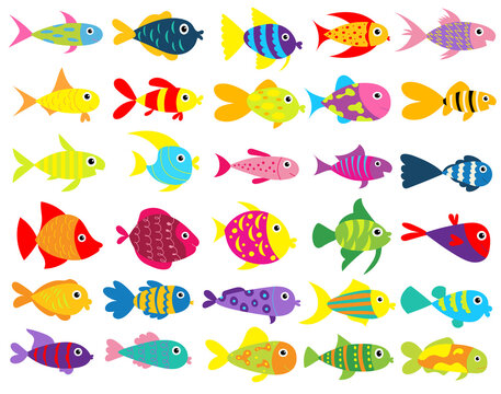fish set flat design , cartoon isolated vector
