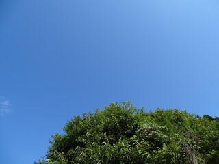 青空と里山