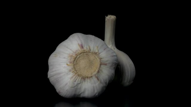 two heads of garlic rotate on a black background, close-up 