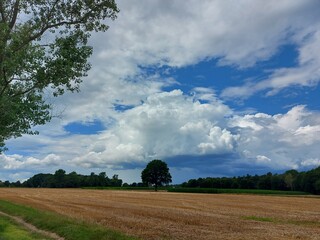 Fototapeta na wymiar Bewölkter Himmel vor dem Sturm. Graue, schwere Wolken über dem Feld. Die Agrarlandschaft vor dem Sommerregen. Gepflügte Felder so weit das Auge reicht, bereit zur Aussaat. Eine ländliche Straße.