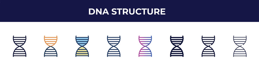 dna structure icon in 8 styles. line, filled, glyph, thin outline, colorful, stroke and gradient styles, dna structure vector sign. symbol, logo illustration. different style icons set.