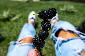 A girl with a mulberry on the background of the Khunzakh valley and waterfalls, Dagestan 2021