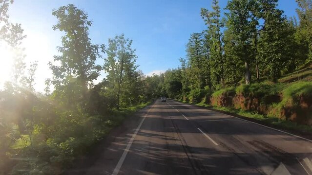 4K POV Hyper lapse of the dashcam of vehicle moving through the green forests of the Dang district on the way to Saputara in Gujarat, India. Car moving in forest with sun flare between trees in dawn.	