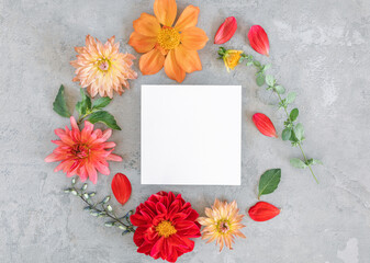 Round frame wreath with blank paper card copy space made of dahlias of different varieties and colors.