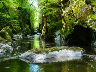 Mesmerizing Fairy Glen gorge, nature's beauty gem hidden in Snowdonia National Park, North Wales.