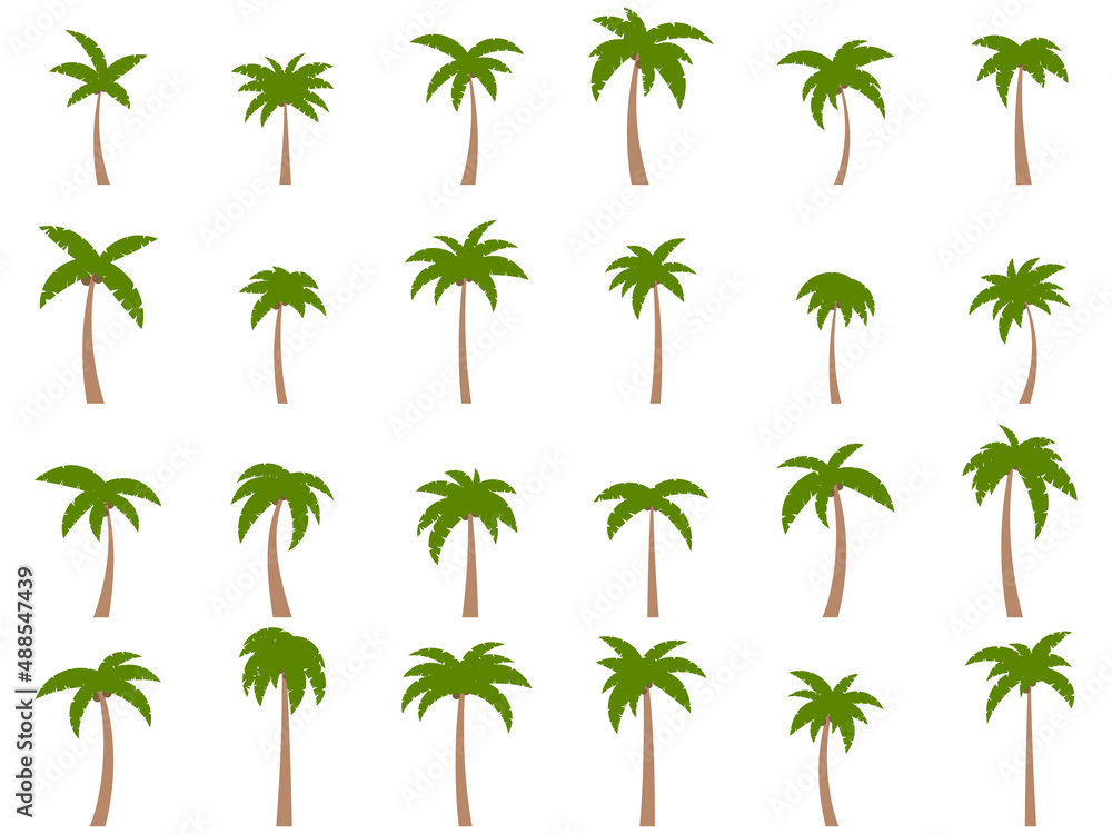 Wall mural palm trees with coconuts on a white background. big set of tropical palm trees in different shapes a