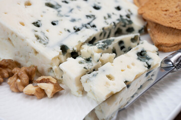 Tastig of French king of cheeses, sheep milk blue cheese roquefort from Southern France,