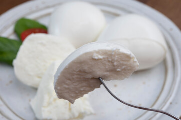 Tasing of fresh italian cheese mozzarella di buffalo