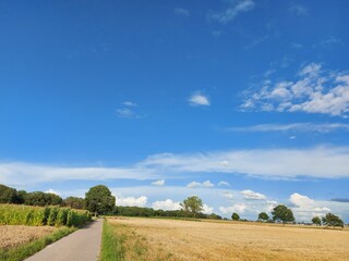 Alle Wege führen irgendwohin. Der Feldweg zieht sich durch die Felder. Die ländliche Straße zwischen landwirtschaftlichen Siedlungen. Ländliche Landschaft unter dem Himmel mit Wolken. Felder, Wege.