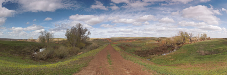 flat spring landscape with steppe road