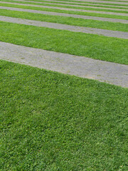 Background of green grass interrupted from small stone paths in a row