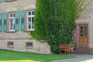 Closeup of an old historic brick building with wild ivy, in the fore a wooden bench and a green...