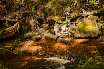 Face of a stone mermen on the bank of a stream